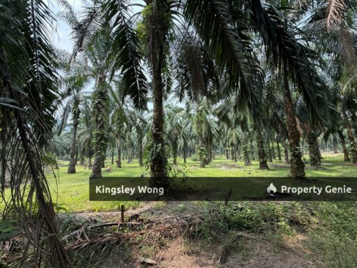 Sungai Siput Agriculture Land 3.2 Acres Flat Land Industrial Zone