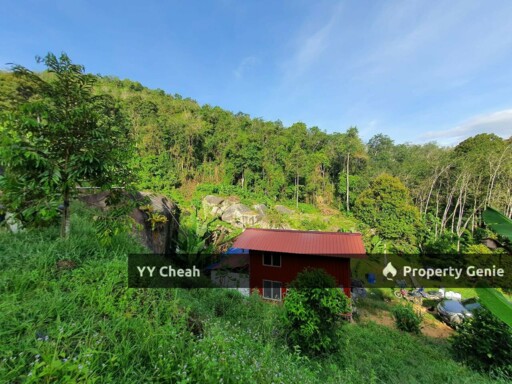 Sungai Siput Durian Farm Freehold with mountain water