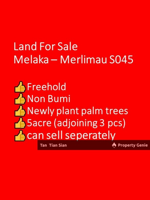 (S045) Land For Sale @ Merlimau, Jasin, Melaka Good location murah cheap raw land Palm Sawit good