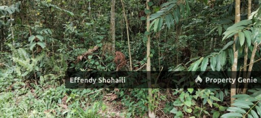 SEMENYIH SUNGAI PENING TANAH PERTANIAN