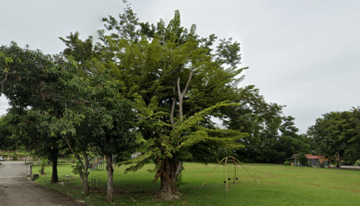 Taman Berangan