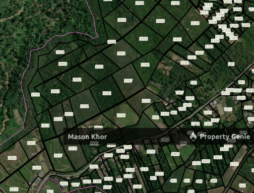 SELARONG AGRICULTURAL LAND WITH PALM OIL TREE 31 Acre PERAK