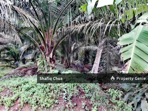 Mukim Kelanang, Jalan Gelanggang Buaya, Kuala Langat
