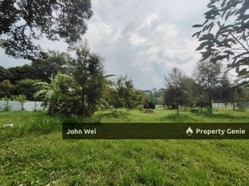 🔥Agriculture Durian Farm For Sale🔥