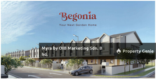 Begonia @ Myra Gardens