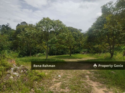 Agricultural Land in Rasah Kemayan Seremban