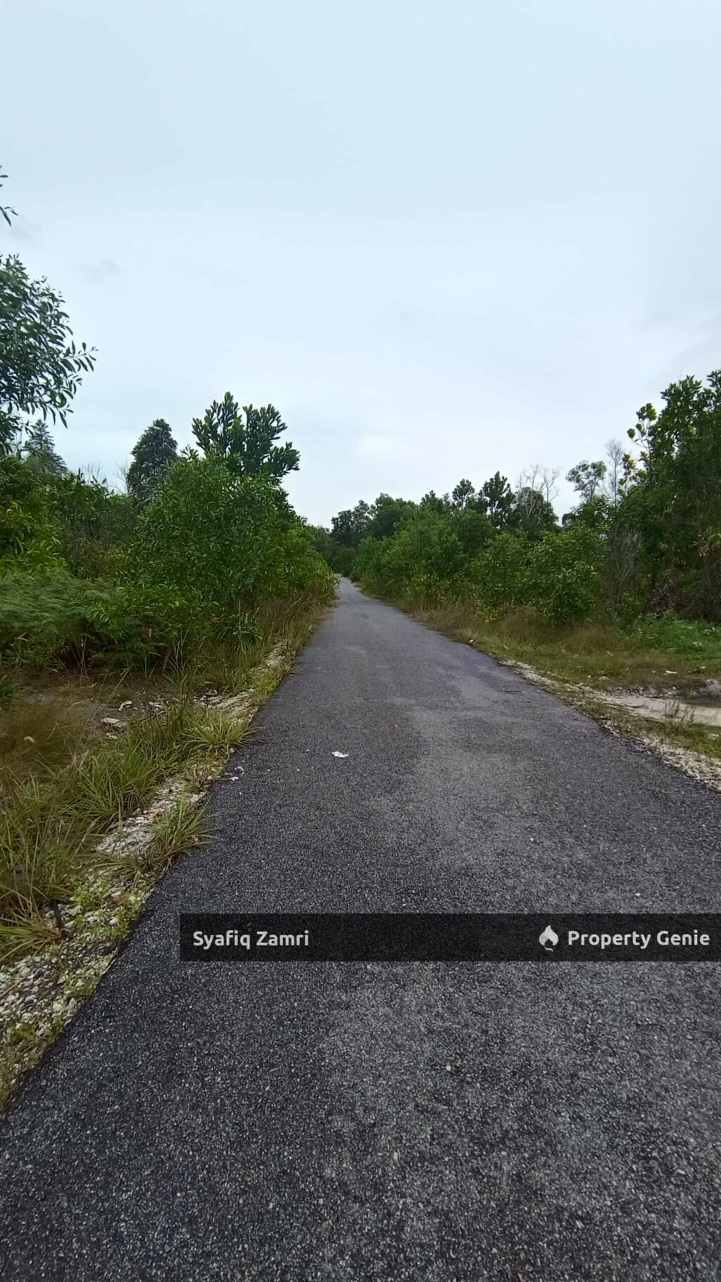 TANAH LOT BANGLO CEMPAKA KUANTAN UNTUK DIJUAL