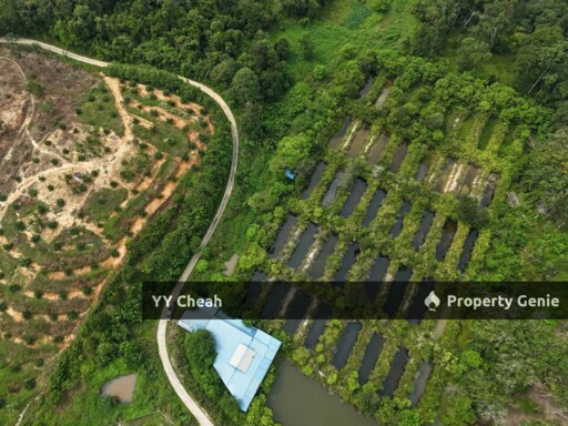 Aquaculture Land For Sale Jerlun Kuala Kangsar 4.12acres Freehold