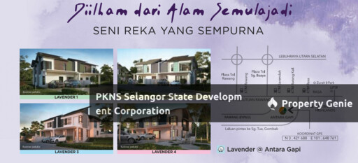 Lavender @ Antara Gapi
