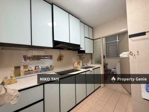 Prima Regency Apartment with 2 Car Park For Sale