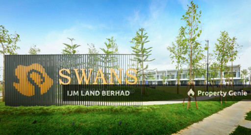 Swans, Rimbayu