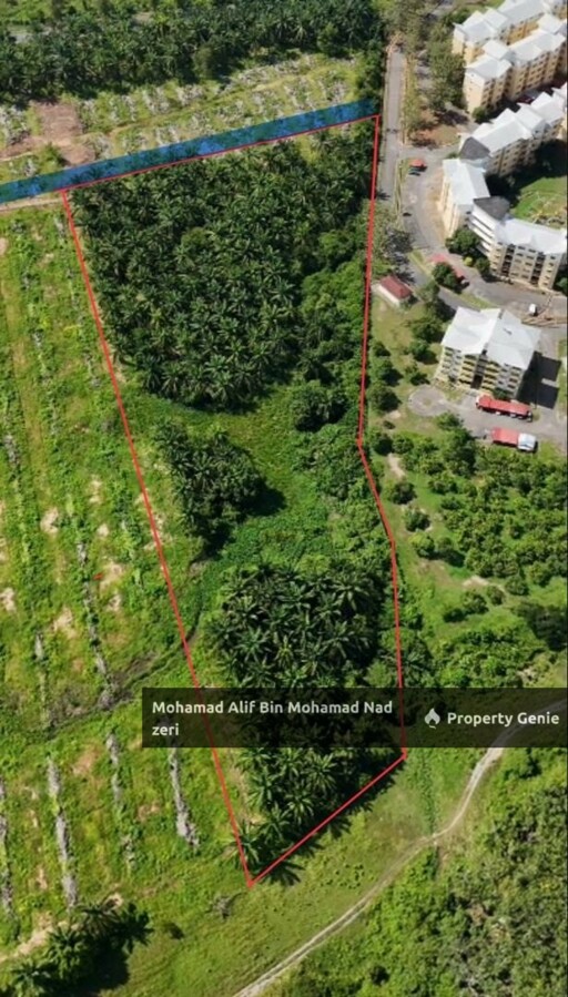 Tanah Ladang Kelapa Sawit untuk Di Jual | Geran Individu