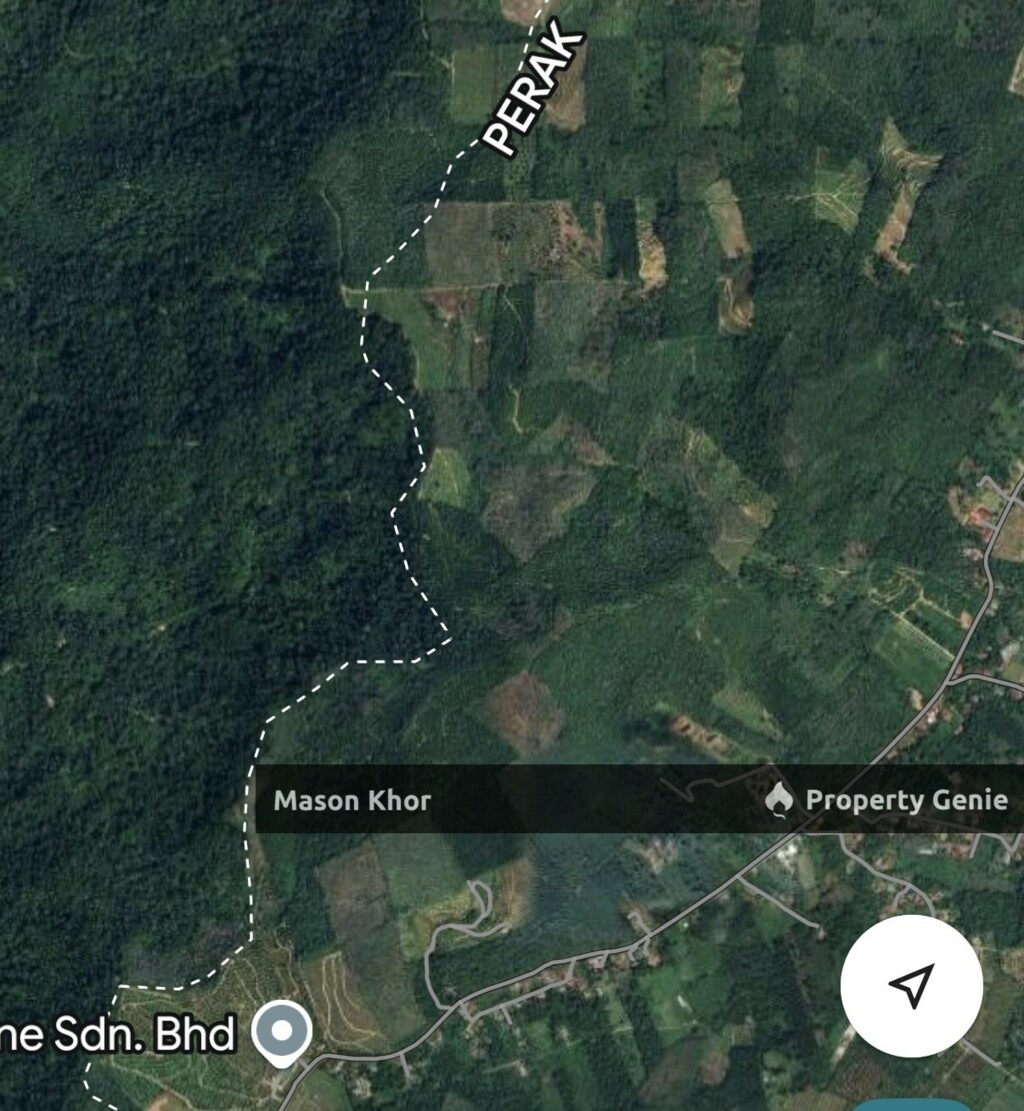 SELARONG AGRICULTURAL LAND WITH PALM OIL TREE 31 Acre PERAK