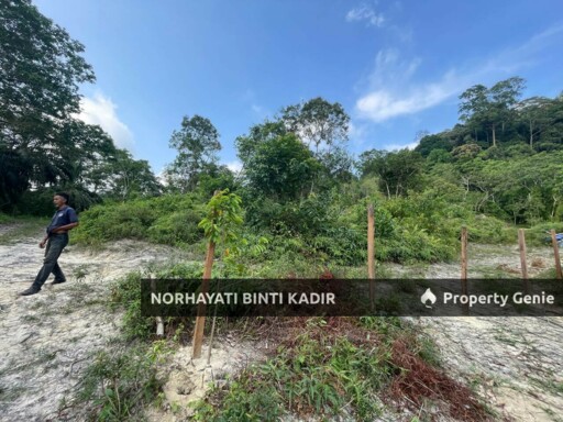 (HOT AREA) TANAH KEBUN DI BUKIT KUIN 2, KUANTAN