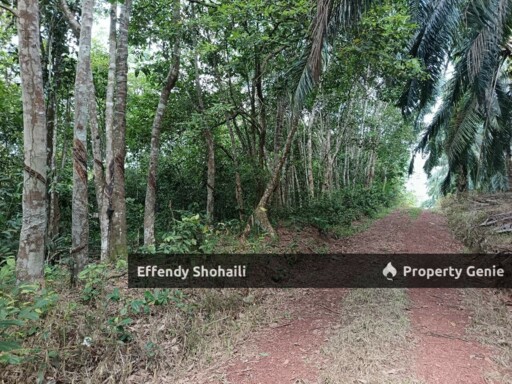 TEMERLOH KERDAU DEVELOPMENT LAND