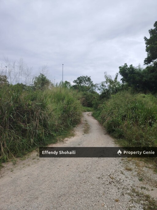 DENGKIL BATU 29 REVOLUSI HIJAU TANAH PERTANIAN