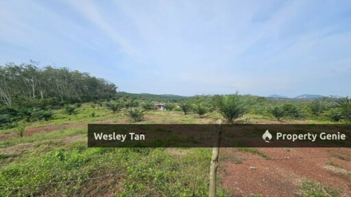 Durian Tunggal Below Value Oil Palm Approx 6.5acres land Freehold Road