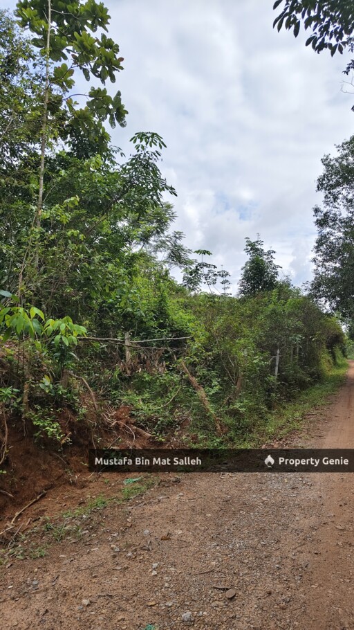 [Kebun Getah] Bukit Ular, Padang Terap, Kedah