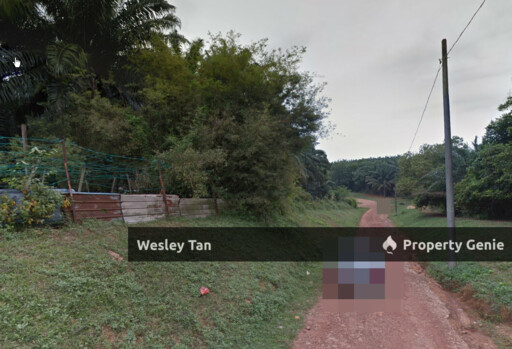 Durian Tunggal Freehold Oil Palm Tree Land For Sale