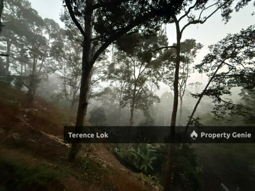 Titi KENABOI KG CHENNAH, KUALA KLAWANG JELEBU TITI KENABODURIAN RUBBER LAND, Kuala Klawang