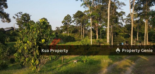 Agriculture Land For Sale! Located at Serian