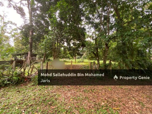 [FREEHOLD] Tanah Pertanian Mukim Beserah