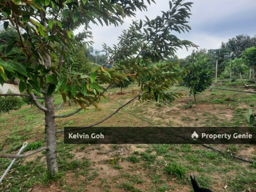 10 Acres Agriculture Land Freehold Temiang Seremban