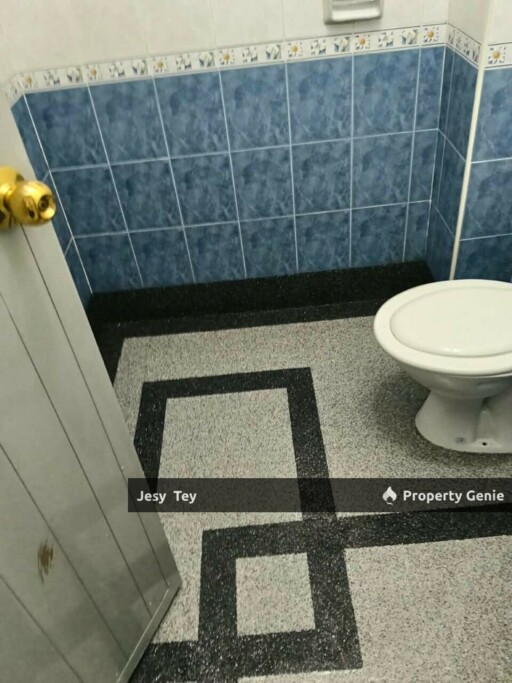 Taman Desa Jaya Double Storey Terrace House Sales