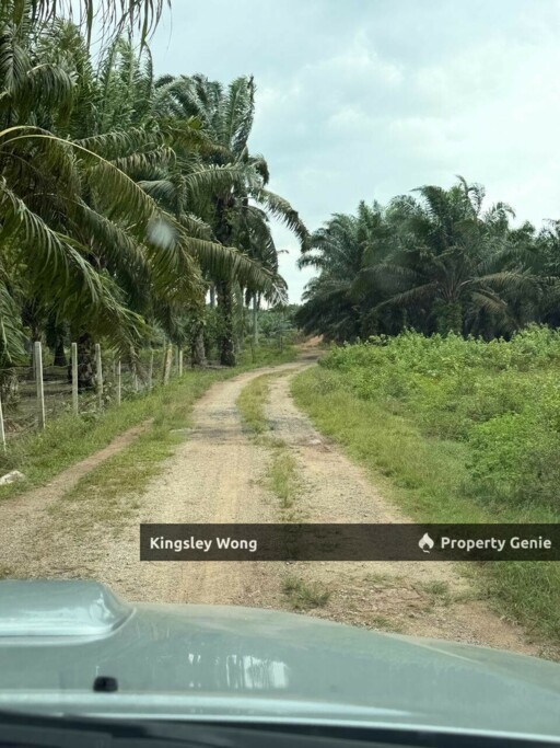 Sungai Siput Jalong Tinggi Freehold Agricultural Land 5 from Main Road