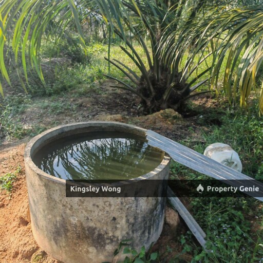 Sg Siput Perak Oil Palm Agricultural Land  Freehold Non Bumi Lot 3-4years Trees Sungai Siput Land For Sale