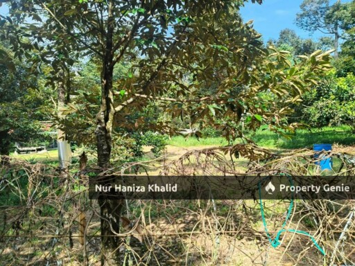 Tanah Dusun Durian Untuk Dijual Lenggeng Negeri Sembilan