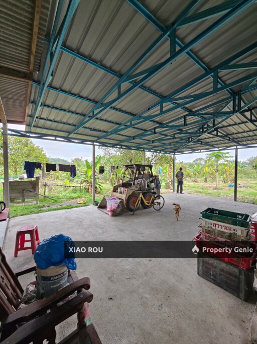 Alor Gajah Lendu Bukit Hantu Durian Farm For Sale