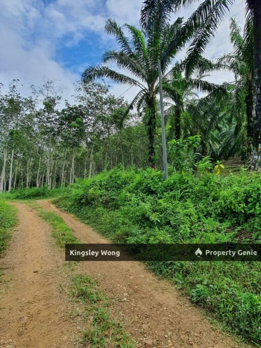 Sungai Siput Jalong Perak Freehold 8.3 Acres Agriculture Land Flat & Sloppy Land