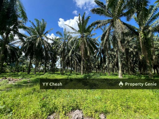 Kanthan Chemor, Ipoh. Agriculture Land 25 Acres
