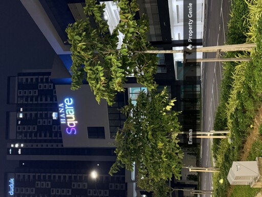Eco Adrence First Floor For Sales