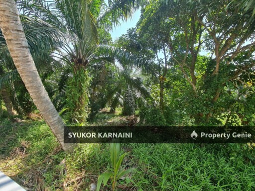 FREEHOLD OPEN 1 ekar tanah kampung sungai pinang sebelah Perumahan