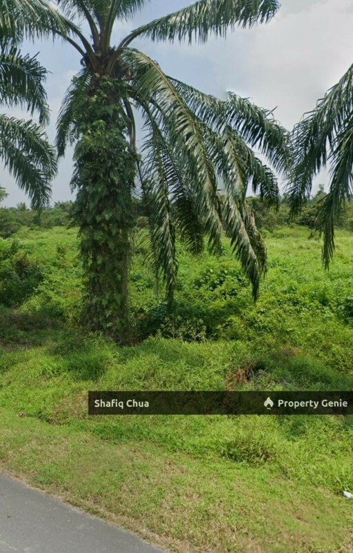 Malay Reserve Industrial Land Jalan Maharajalela Jeram For Sale
