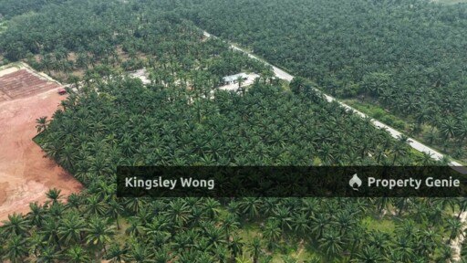 Sungai Siput Agriculture Land 3.2 Acres Flat Land Industrial Zone