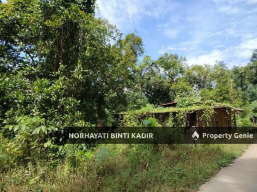 TANAH 13.8 EKAR BERHAMPIRAN JALAN RAUB-LIPIS