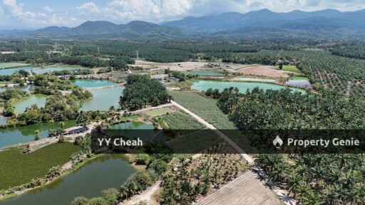 Kanthan Chemor, Ipoh. Agriculture Land 25 Acres