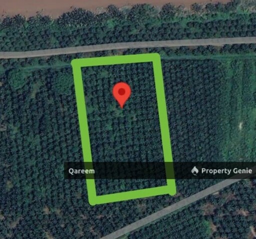 5.4 Ekar Ladang Kelapa Sawit Nyiur Sebatang Sabak Bernam
