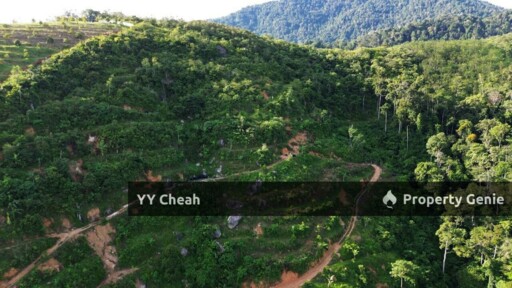 Sungai Siput Durian Farm Freehold with mountain water
