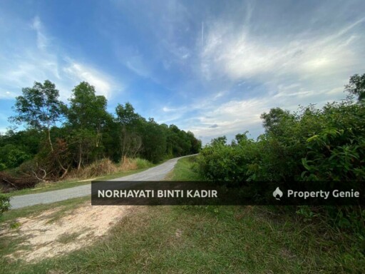 TURUN HARGA‼️ 🔥 TANAH PERTANIAN UNTUK DIJUAL – PANTAI SEPAT, KUANTAN 🔥
