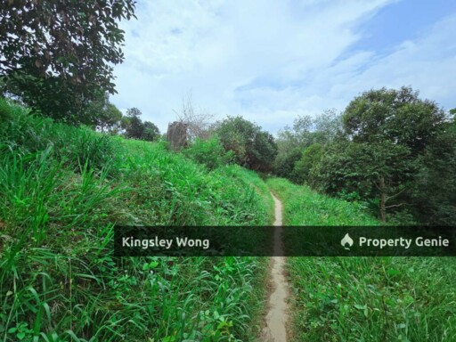 Liman Kati, Kuala Kangsar, Perak Freehold 5.9acres Agriculture land