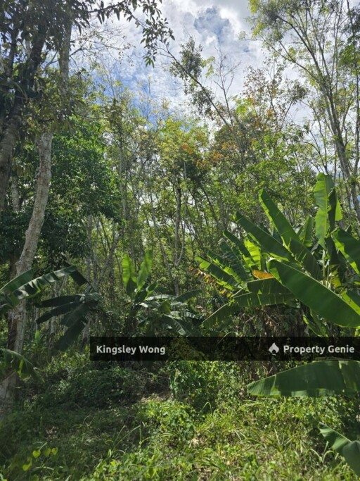 Liman Kati, Kuala Kangsar, Perak Freehold 3.15 acres Agricultural Land