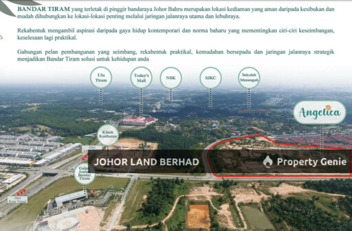 Angelica, Bandar Tiram