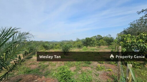 Durian Tunggal Below Value Oil Palm Approx 6.5acres land Freehold Road