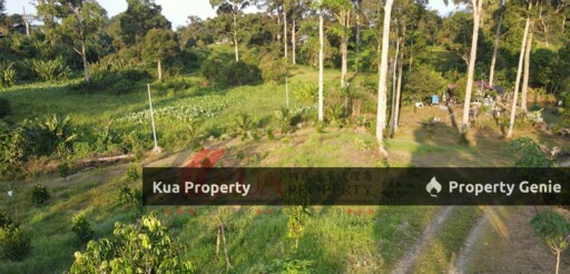 Agriculture Land For Sale! Located at Serian