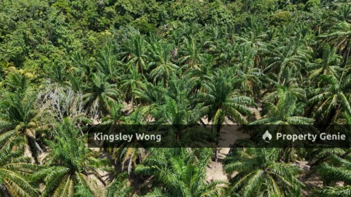 Sg Siput Perak Freehold Oil palm Agricultural land 3.5 acres  Slope land