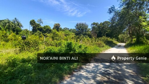 Tanah Jenis Pertanian di Permatang Habib, Pantai Sepat, Mukim Penor, Daerah Kuantan